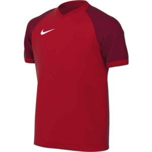 Póló Nike Dri-FIT Trophy VI Kids kép