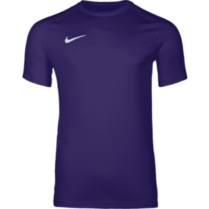 Póló Nike Dri-FIT Park VIII Kids kép