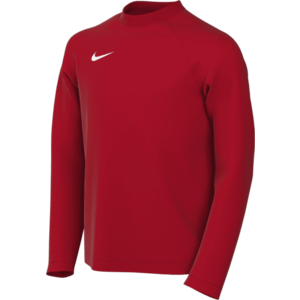 Hosszú ujjú póló Nike Dri-FIT Park VIII Long Sleeve Kids kép