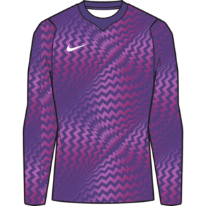 Hosszú ujjú póló Nike Dri-FIT Gardien VI Goalkeeper Long Sleeve kép