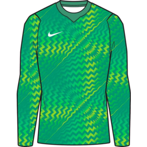 Hosszú ujjú póló Nike Dri-FIT Gardien VI Goalkeeper Long Sleeve Kids kép