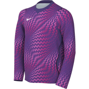 Hosszú ujjú póló Nike Dri-FIT Gardien VI Goalkeeper Long Sleeve Kids kép