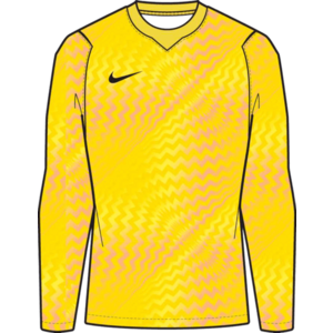 Hosszú ujjú póló Nike Dri-FIT Gardien VI Goalkeeper Long Sleeve Kids kép