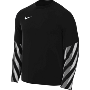 Hosszú ujjú póló Nike Dri-FIT Park V Long Sleeve Goalkeeper kép