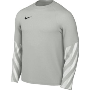 Hosszú ujjú póló Nike Dri-FIT Park V Long Sleeve Goalkeeper kép