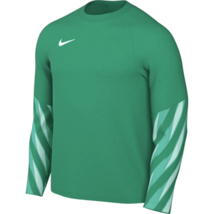 Hosszú ujjú póló Nike Dri-FIT Park V Long Sleeve Goalkeeper kép