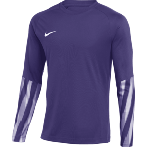 Hosszú ujjú póló Nike Dri-FIT Park V Long Sleeve Goalkeeper kép