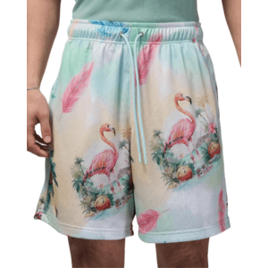 Rövidnadrág Jordan Jordan Essentials Printed Mesh Short kép