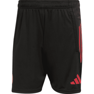 Rövidnadrág adidas FC Bayern Tiro25 European Competition Training Shorts 2025/26 kép