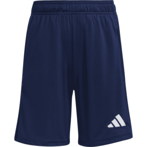 Rövidnadrág adidas Entrada 26 Kids kép