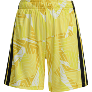 Rövidnadrág adidas Tiro 26 Competition Goalkeeper Kids kép