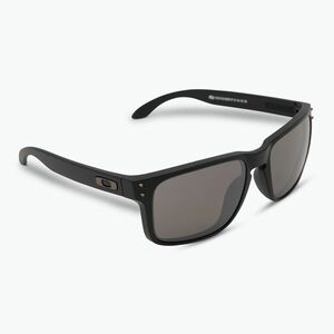 Oakley Holbrook matt fekete/prizm fekete polarizált napszemüveg (Holbrook OO9102-D655) kép