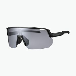 Napszemüveg Shimano CE-TCNL2 Technium L matte black/photochromic gray (CE-TCNL2 Technium L ECETCNL2PHL02) kép