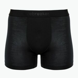 Férfi thermo boxeralsó jégtörő Merino 125 Cool-Lite Anatomica fekete (Merino 125 Cool-Lite Anatomica IB0A571V0011) kép