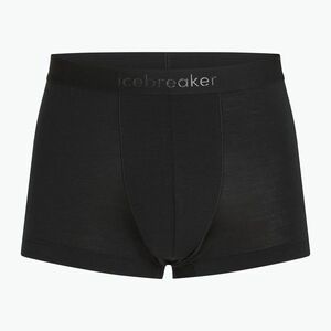 Férfi thermo boxeralsó icebreaker Merino 125 Cool-Lite Anatomica trunks fekete (Merino 125 Cool-Lite Anatomica Trunks IB0A571W0011) kép