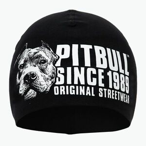 Férfi téli sapka Pitbull Beanie Blood Dog black (Beanie Blood Dog 4430039000) kép