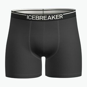Férfi thermo boxeralsó icebreaker Anatomica plume jet heather (Anatomica IB1030290111) kép