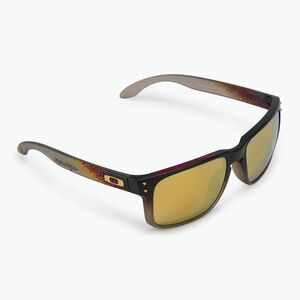 Oakley Holbrook troy lee design fekete fade/prizm 24k polarizált napszemüveg (Holbrook OO9102-AH55) kép