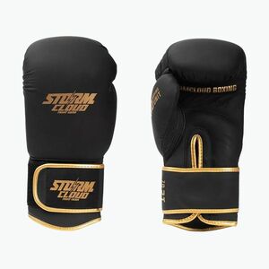 Boxkesztyű StormCloud Boxing Pro black/gold (Boxing Pro 755119) kép
