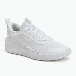 Gyerek cipő Nike Omni Multi-Court white/pure platinum/white (Omni Multi-Court DM9027-100) kép