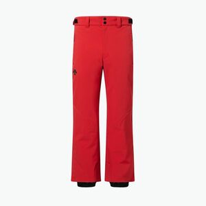 Férfi sínadrág Descente Swiss electric red (Swiss DW5FLP01MU) kép
