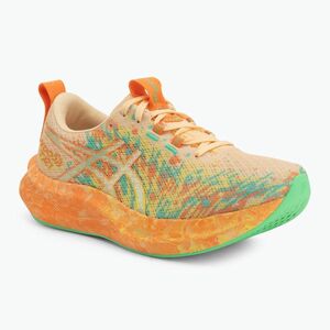 Női futócipő Asics Noosa Tri 16 light orange/lemon spark (Noosa Tri 16 1012B675-801) kép