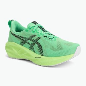 Férfi futócipő ASICS Novablast 5 vital green/black (Novablast 5 1011C224-300) kép