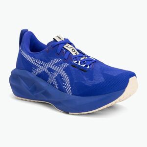 Női futócipő ASICS Novablast 5 cobalt burst/white (Novablast 5 1012B765-403) kép