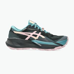 Női futócipő ASICS Trabuco 14 GTX black/morganite (Trabuco 14 GTX 1012B936-001) kép