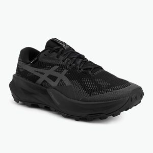 Férfi futócipő ASICS Trabuco 14 GTX black/graphite grey (Trabuco 14 GTX 1011C165-002) kép