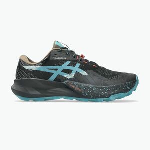 Férfi futócipő ASICS Trabuco 14 GTX black/misty pine (Trabuco 14 GTX 1011C165-001) kép