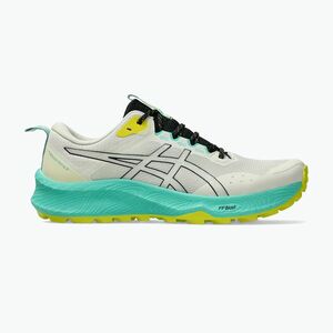 Férfi futócipők ASICS Trabuco Terra 3 light dust/black (Trabuco 14 GTX 1011C152-020) kép