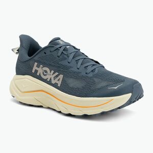 Férfi futócipők HOKA Challenger 8 Wide faded navy/pampas grass (Challenger 8 Wide 1168718-FMP) kép
