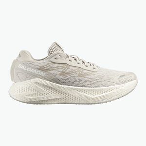 Salomon Aero Glide 4 silver/silver/white férfi futócipő (Aero Glide 4 L49147200) kép