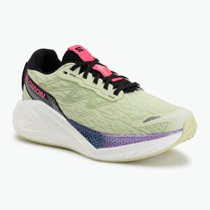 Női futócipő Salomon Aero Glide 4 butterfly/white/black (Aero Glide 4 L49151500) kép