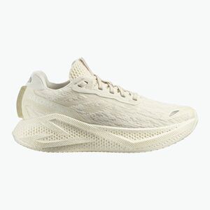 Női futócipő Salomon Aero Glide 4 vanila/vanila/white (Aero Glide 4 L49151400) kép