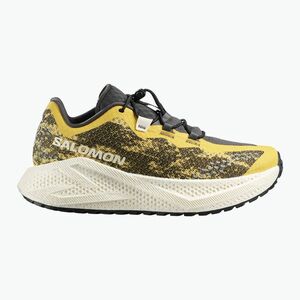 Női futócipő Salomon Aero Glide 4 GRVL beach ball/asphalt/vanilla ice (Aero Glide 4 GRVL L49213800) kép