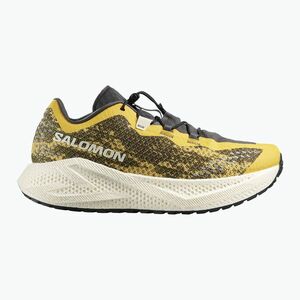Salomon Aero Glide férfi futócipő 4 GRVL beach ball/asphalt/vanilla ice (Aero Glide 4 GRVL L49175000) kép