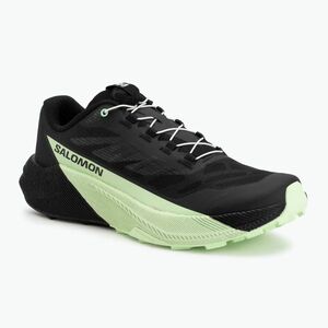Salomon Pulsar férfi futócipő black/black/patina green (Pulsar L47887800) kép