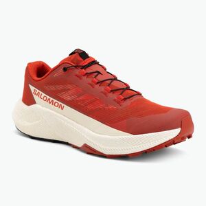 Salomon Pulsar férfi futócipő fiery red/vanilla ice/black (Pulsar L49230100) kép