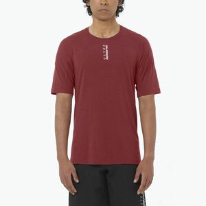 Férfi futópóló Salomon Ultra Tee syrah (Ultra Tee LC2789700) kép