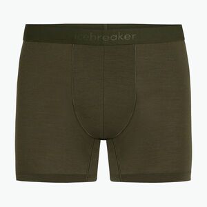 Férfi termoaktív boxeralsó Icebreaker Merino 125 Cool-Lite Anatomica dark loden (Merino 125 Cool-Lite Anatomica Merino 125 Cool-Lite Anatomica) kép