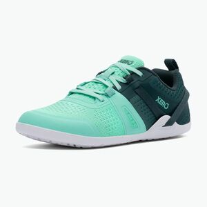 Női barefoot cipők Xero Shoes Prio Neo sea moss (Prio Neo PPW-SEMO) kép