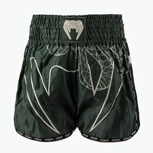 Férfi edzőshort Venum Serpenti Muay Thai khaki/bronze/ivory (Serpenti Muay Thai VENUM-05753-590) kép