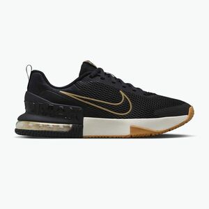 Férfi edzőcipő Nike Air Max Alpha Trainer 6 black/sail/parachute beige (Air Max Alpha Trainer 6 FQ1833-012) kép
