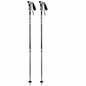 Síbotok BLIZZARD Allmountain ski poles, silver kép
