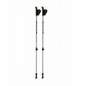Nordic walking botok BLIZZARD Alu Performance nordic walking poles, silver black kép