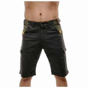 Férfi túrázó rövidnadrágok EVERETT P-COTT II grey kép