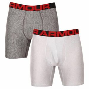 Férfi boxeralsók UNDER ARMOUR UA Tech 6in 2 Pack-GRY kép