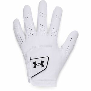 Golfkesztyűk UNDER ARMOUR UA Spieth Tour Golf Glove-WHT kép